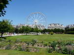 Das Riesenrad in den Tuileries Gärten.